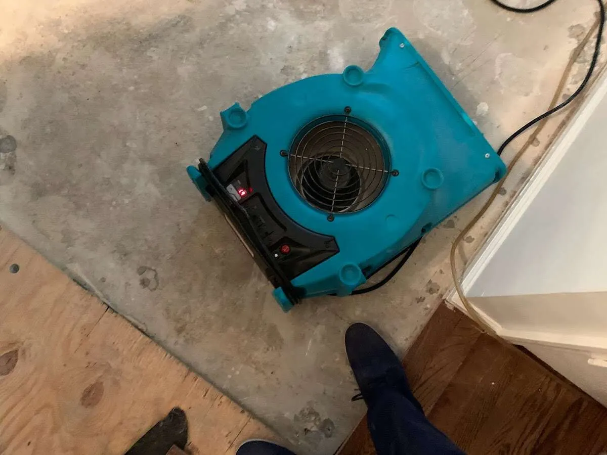 Air mover drying subfloor during Leak Detection & Repair in Lake Stevens